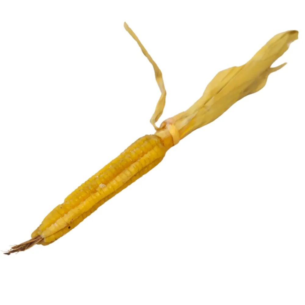 Pannocchia in cera per statue da 30 cm