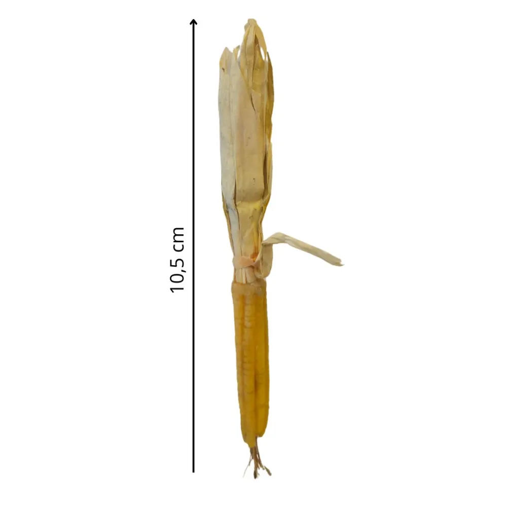 Pannocchia in cera per statue da 30 cm