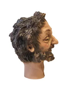 Volto barbone per 30 cm 2