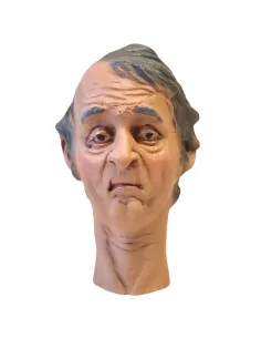Volto uomo con capelli grigi per 30 cm