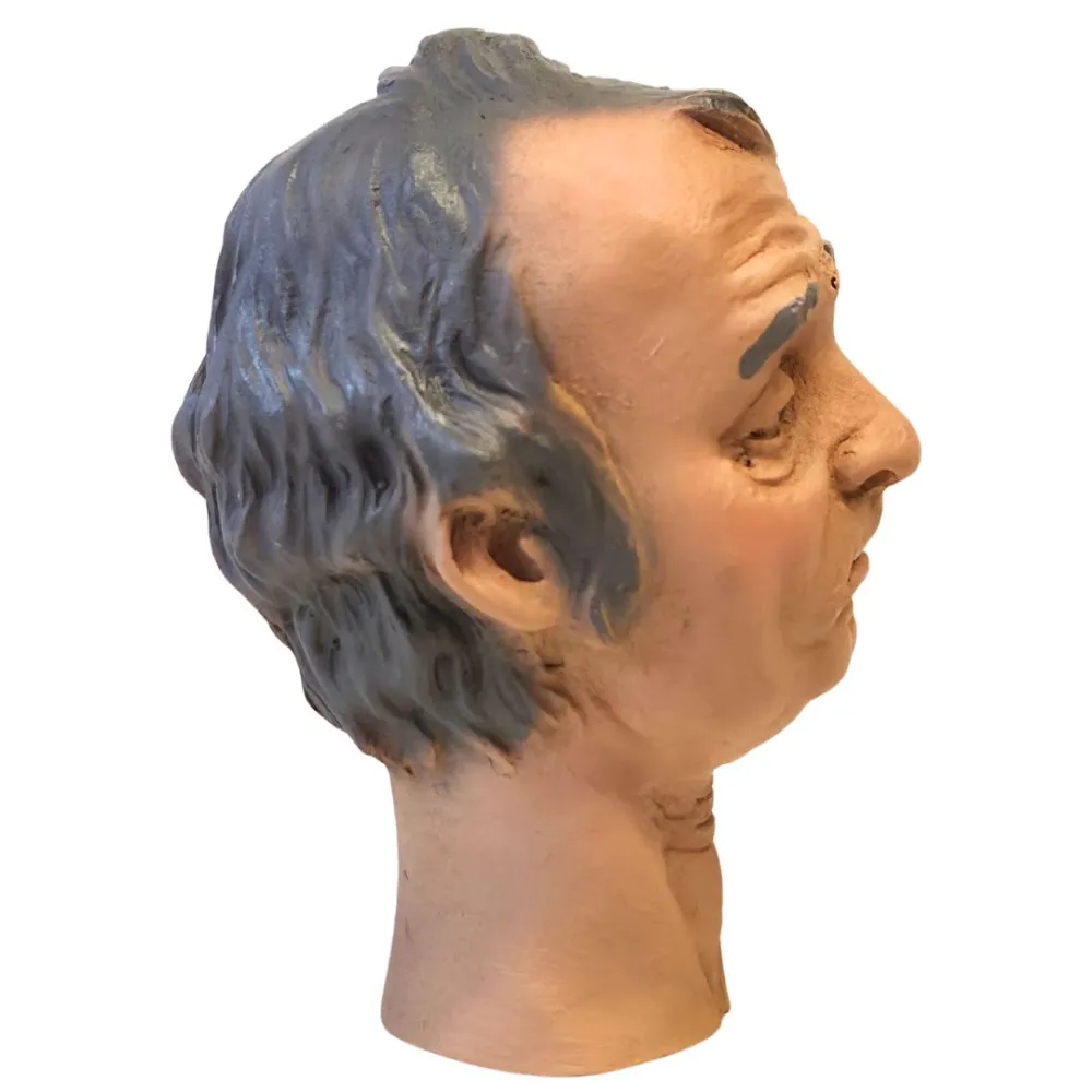 Volto uomo con capelli grigi per 30 cm