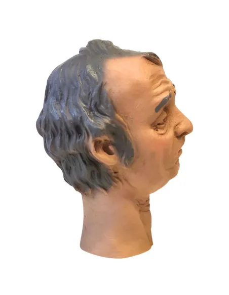 Volto uomo con capelli grigi per 30 cm