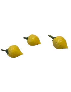 Set 3 limoni per statue da 15-20 cm 2