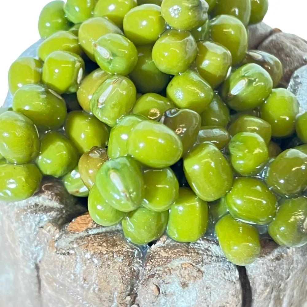 Wooden Tub with Green Olives for 20 cm Nativity Figures