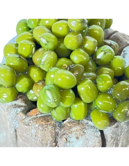 Tinozza in terracotta con olive per statue da 20 cm