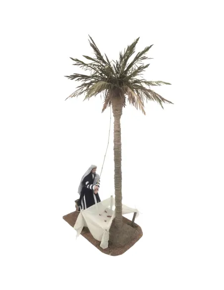 Abbattitore di datteri 30 cm con palma altezza 80 cm in movimento