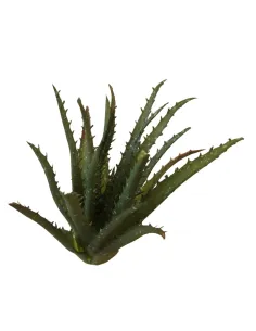 Pianta di aloe in pvc per statue da 30-35 cm 2