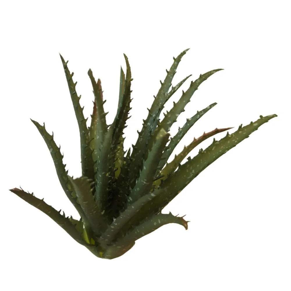 Pianta di aloe in pvc per statue da 30-35 cm