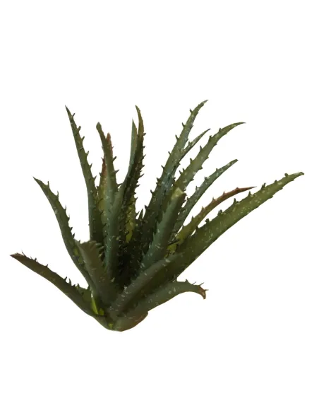 Pianta di aloe in pvc per statue da 30-35 cm