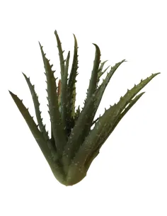 Pianta di aloe in pvc per statue da 30-35 cm