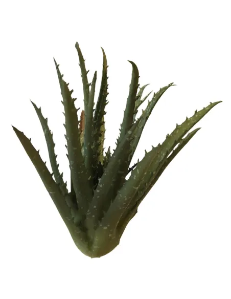 Pianta di aloe in pvc per statue da 30-35 cm