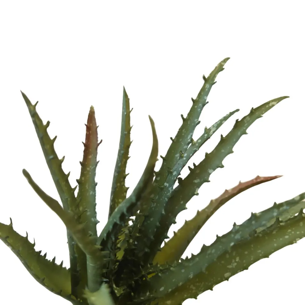 Pianta di aloe in pvc per statue da 30-35 cm