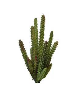 PVC Stapelia Plant for 30 cm Nativity Figures 2