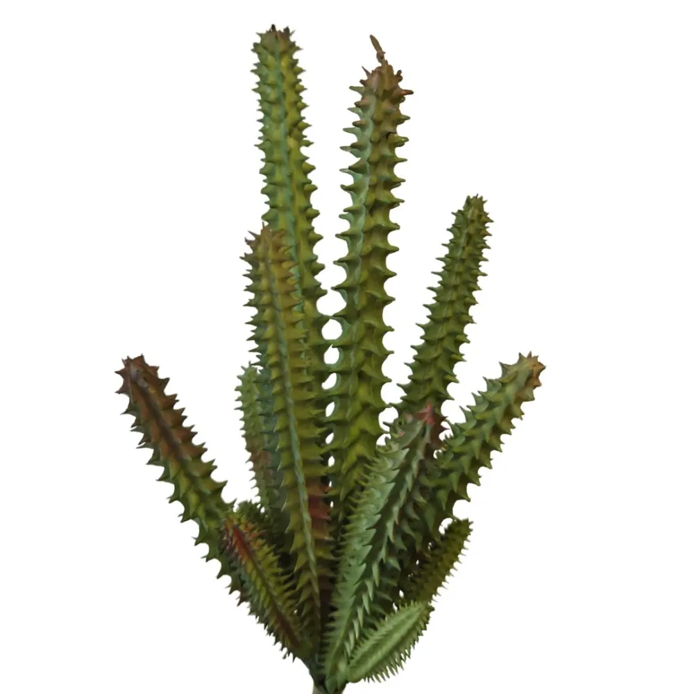 PVC Stapelia Plant for 30 cm Nativity Figures