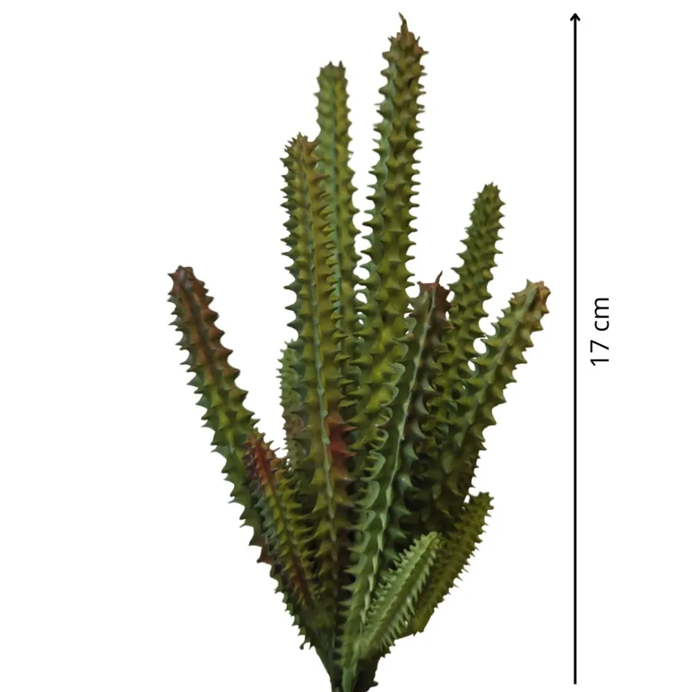 PVC Stapelia Plant for 30 cm Nativity Figures