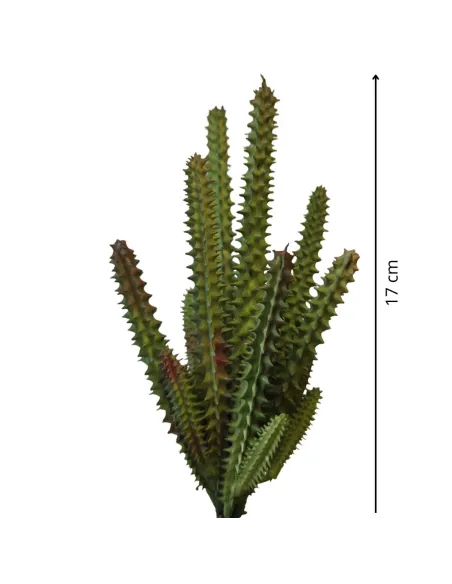 PVC Stapelia Plant for 30 cm Nativity Figures