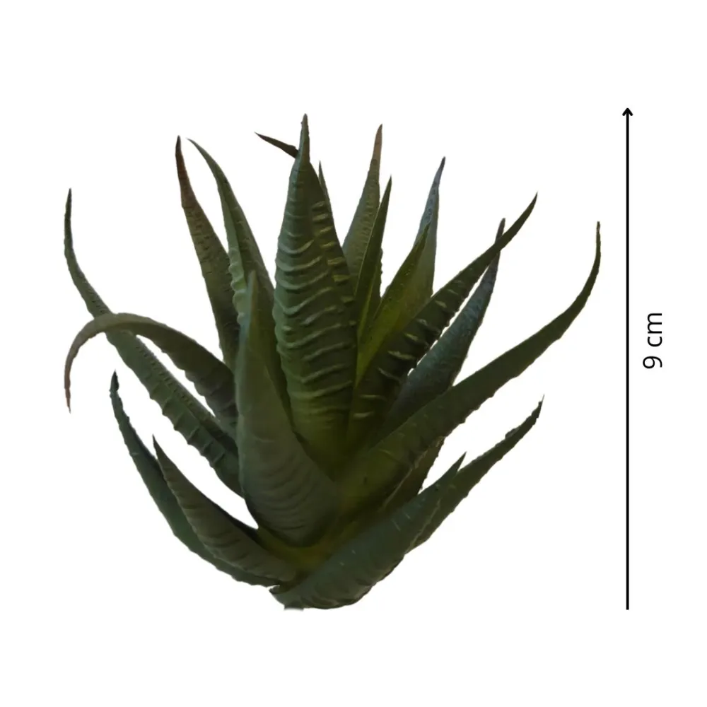 Pianta succulent cactus per statue da 25-30 cm
