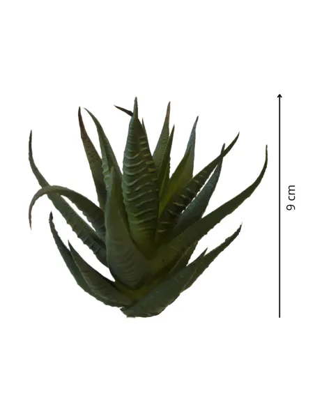 Pianta succulent cactus per statue da 25-30 cm