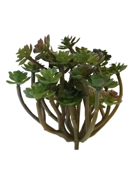 PVC Succulent Plant for 25–30 cm Nativity Figures