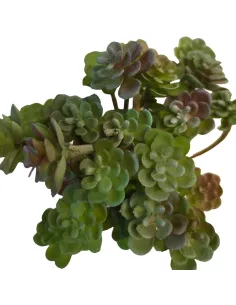 PVC Succulent Plant for 25–30 cm Nativity Figures 2