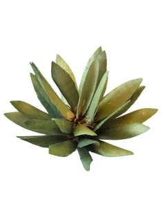 Cespuglio protea con punte per statue da 20-25 cm