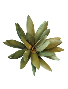 Cespuglio protea con punte per statue da 20-25 cm 2