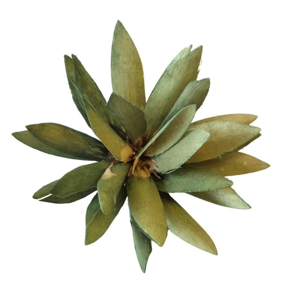 Protea Bush for 20–25 cm Nativity Figures