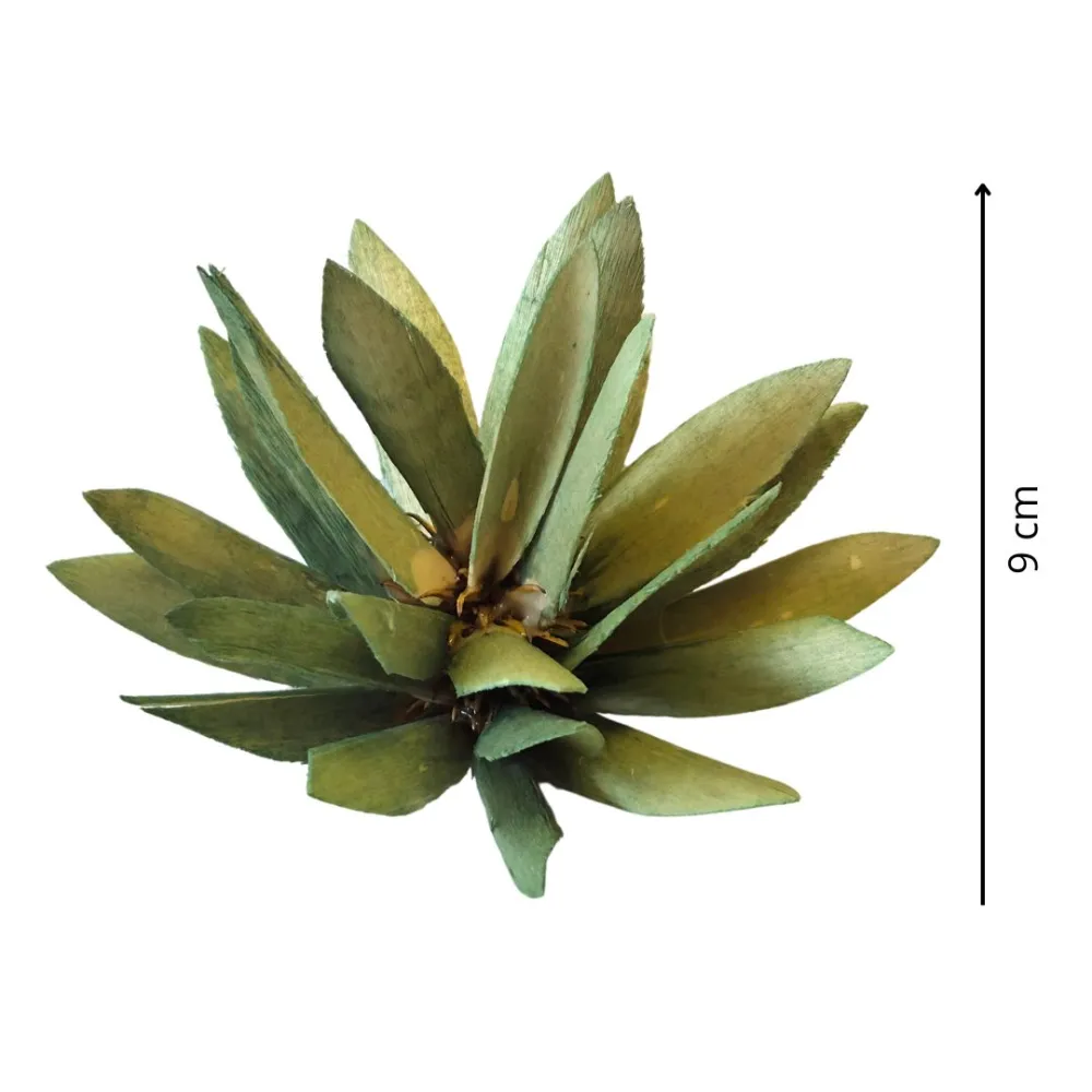 Protea Bush for 20–25 cm Nativity Figures