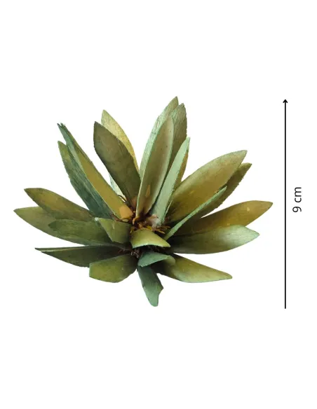 Cespuglio protea con punte per statue da 20-25 cm