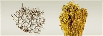 DIY Vegetation Accessories for Nativity Scenes