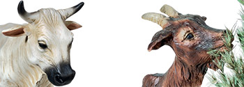 Animali Presepe